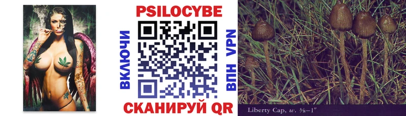 Псилоцибиновые грибы мухоморы  ссылка на мегу tor  Любим  наркошоп 